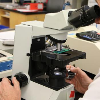 microscope being used by a lab technician