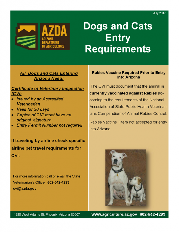 Cats enter. Veterinary Certificate for domestic Dogs and Cats entering Israel образец заполнения. Veterinary Certificate for domestic Dogs and Cats entering Israel. Arizona Cats. New entry requirements.