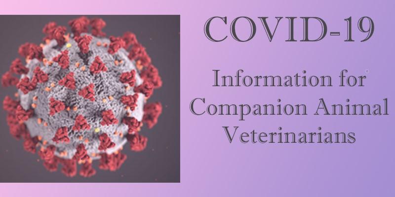 COVID-19 Information for Companion Animal Veterinarians