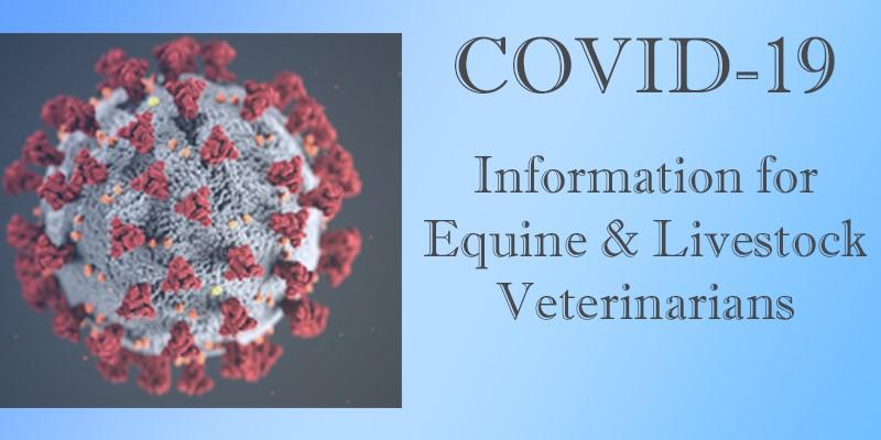 COVID-19 Information for Equine and Livestock Veterinarians