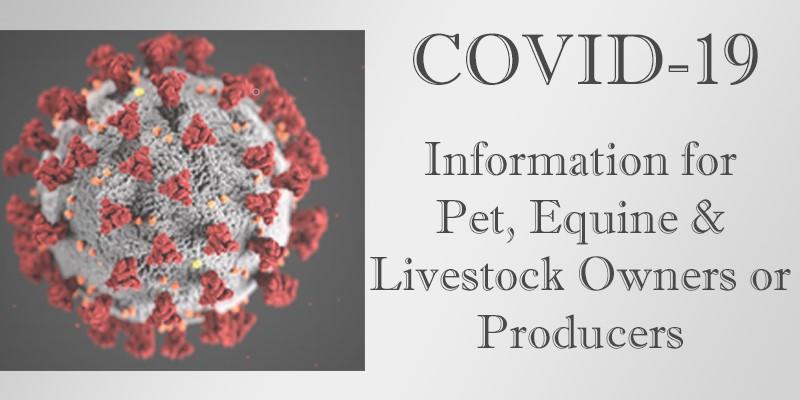 COVID-19 Information for Pet, Equine and Livestock Owners and Producers