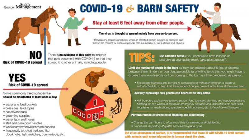 COVID-19 Barn Safety Poster, Keep 6 ft from others
