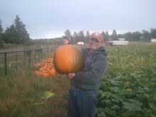 Arizona Agriculture, Mark Killian, pumpkin
