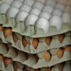 Cartons of white and brown eggs stacked on top of each other