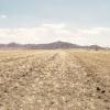 drought, dry desert